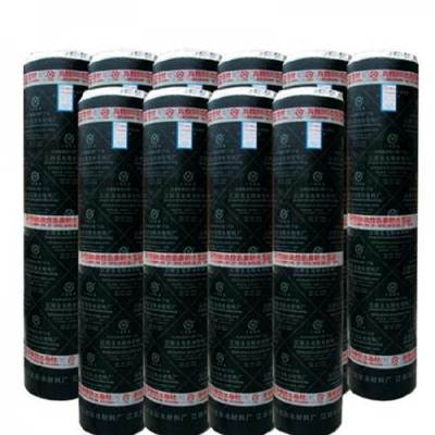 山西廠家直銷sbs防水卷材,低價(jià)更保質(zhì)量就是圣龍-濟(jì)南功能材料