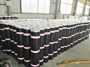 價格適中的sbs防水卷材,廠家火熱供應 西藏自粘改性瀝青sbs防水卷材